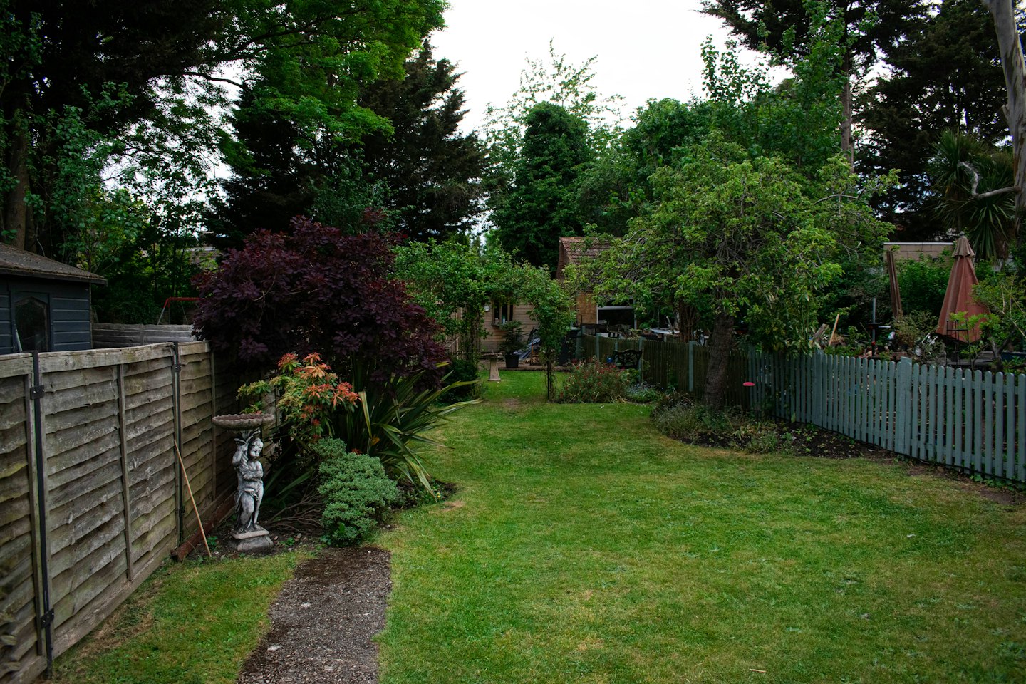 A garden path leads to a wooden shed past greenery.